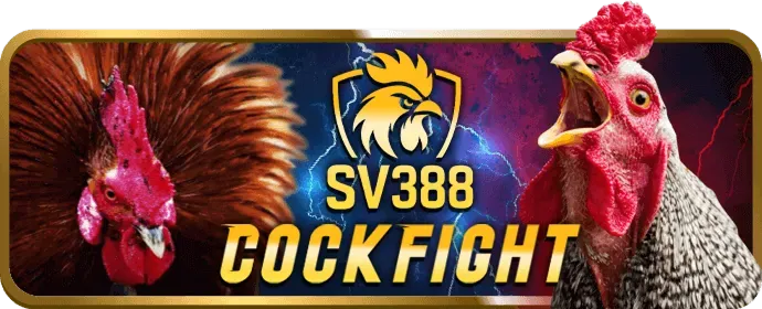 Các loại game bài phổ biến trên 6789bet